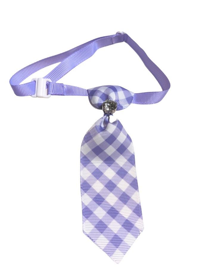 Easter CAT AND DOG Collar Neck Ties (packaging) — Australian made dog treats by Huds and Toke